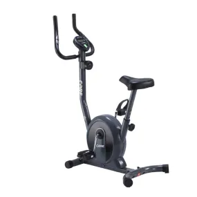 Core Upright Bike YS300